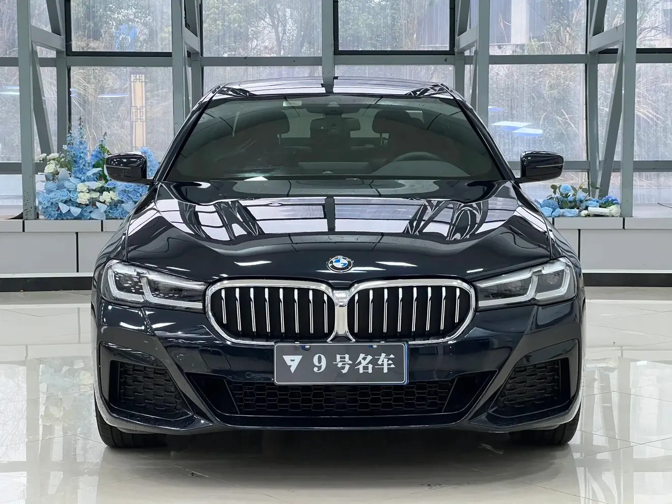 BMW 5 Series 530Li Leading - exterior