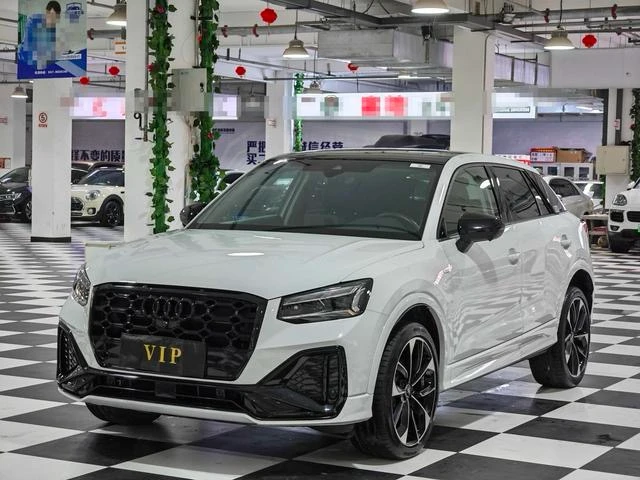 Audi Q2L 35TFSI Luxury Dynamic Model