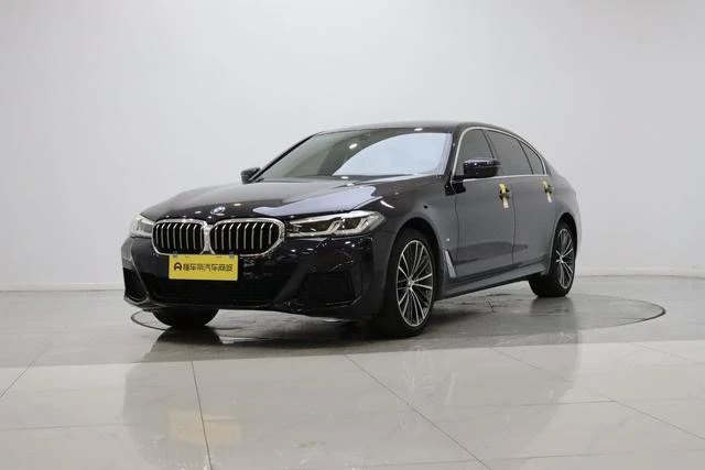 BMW 5 Series 530Li Leading