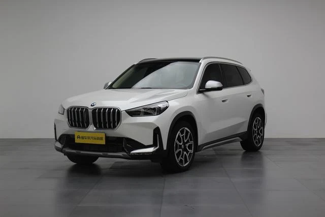 BMW X5 xDrive 25Li Design Package