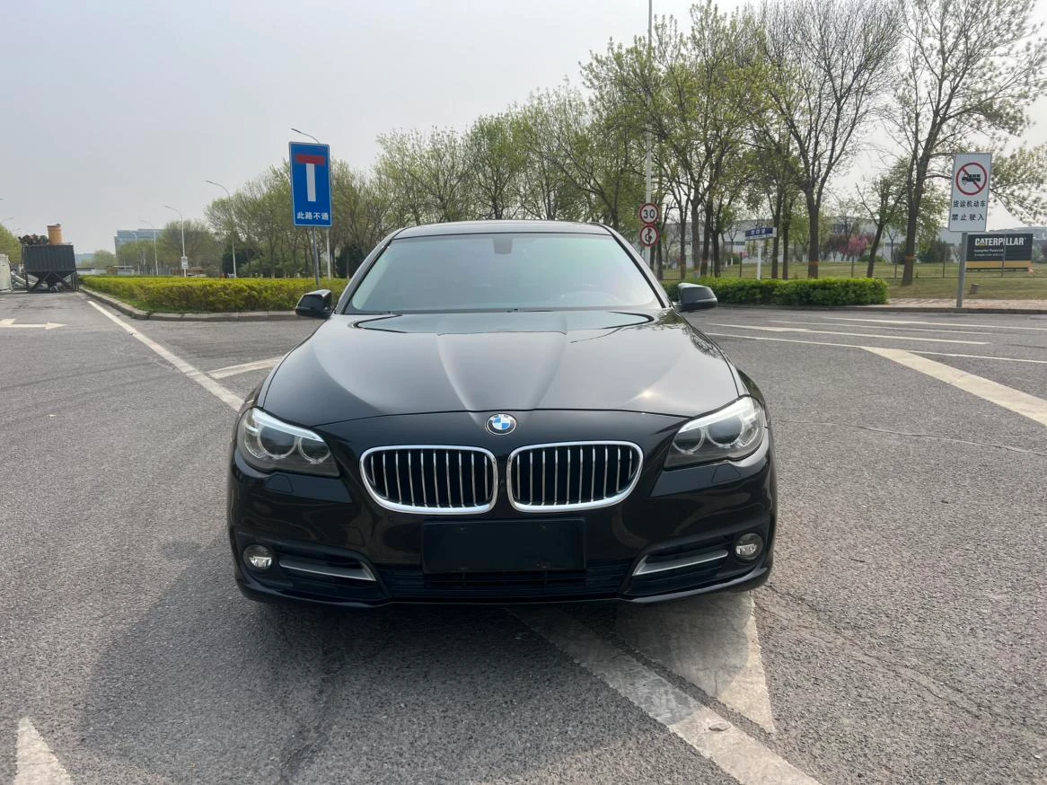 BMW 5 Series 525Li Leading Model - exterior