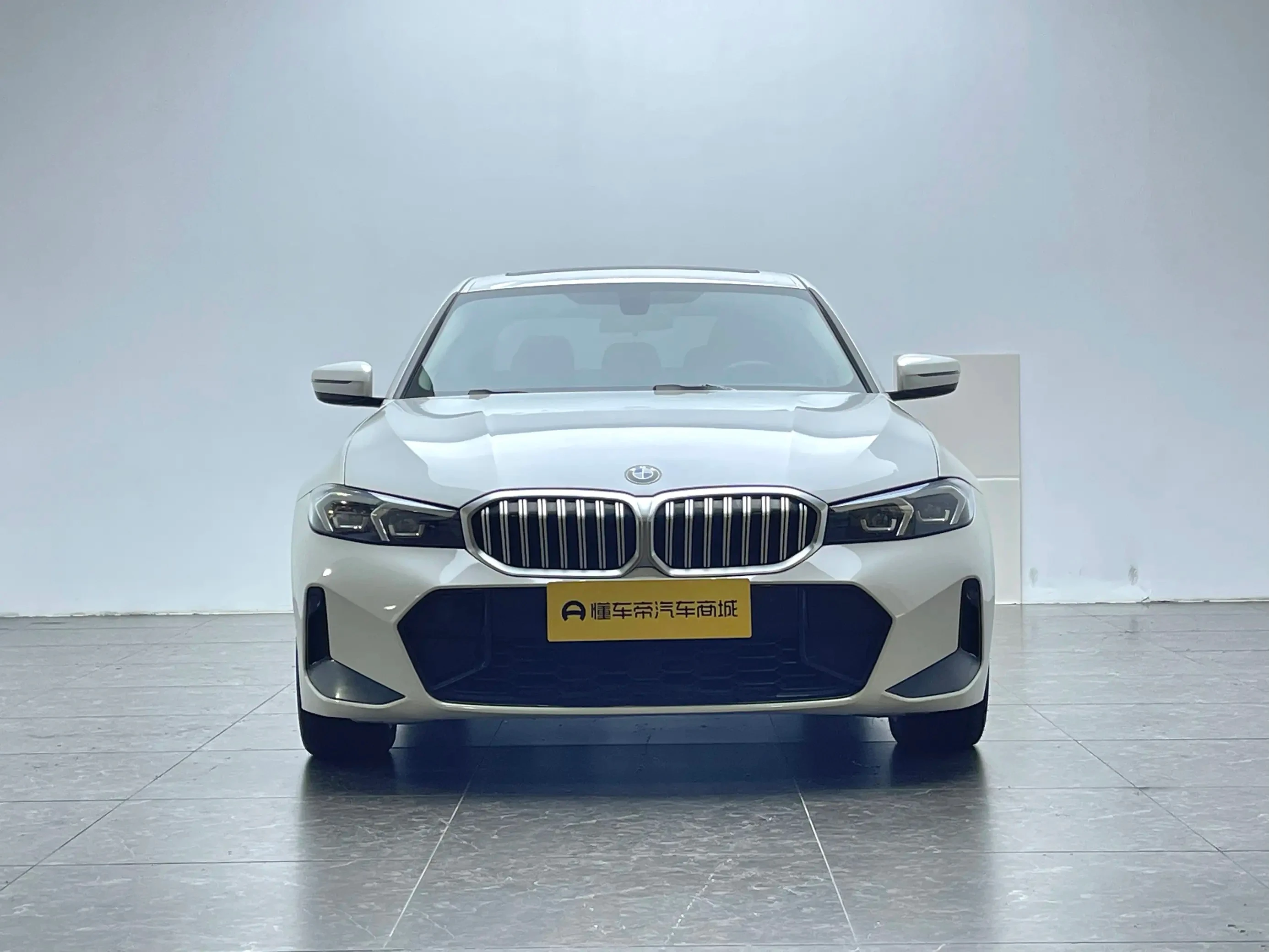 BMW 3 Series 320Li M Sport Package - exterior