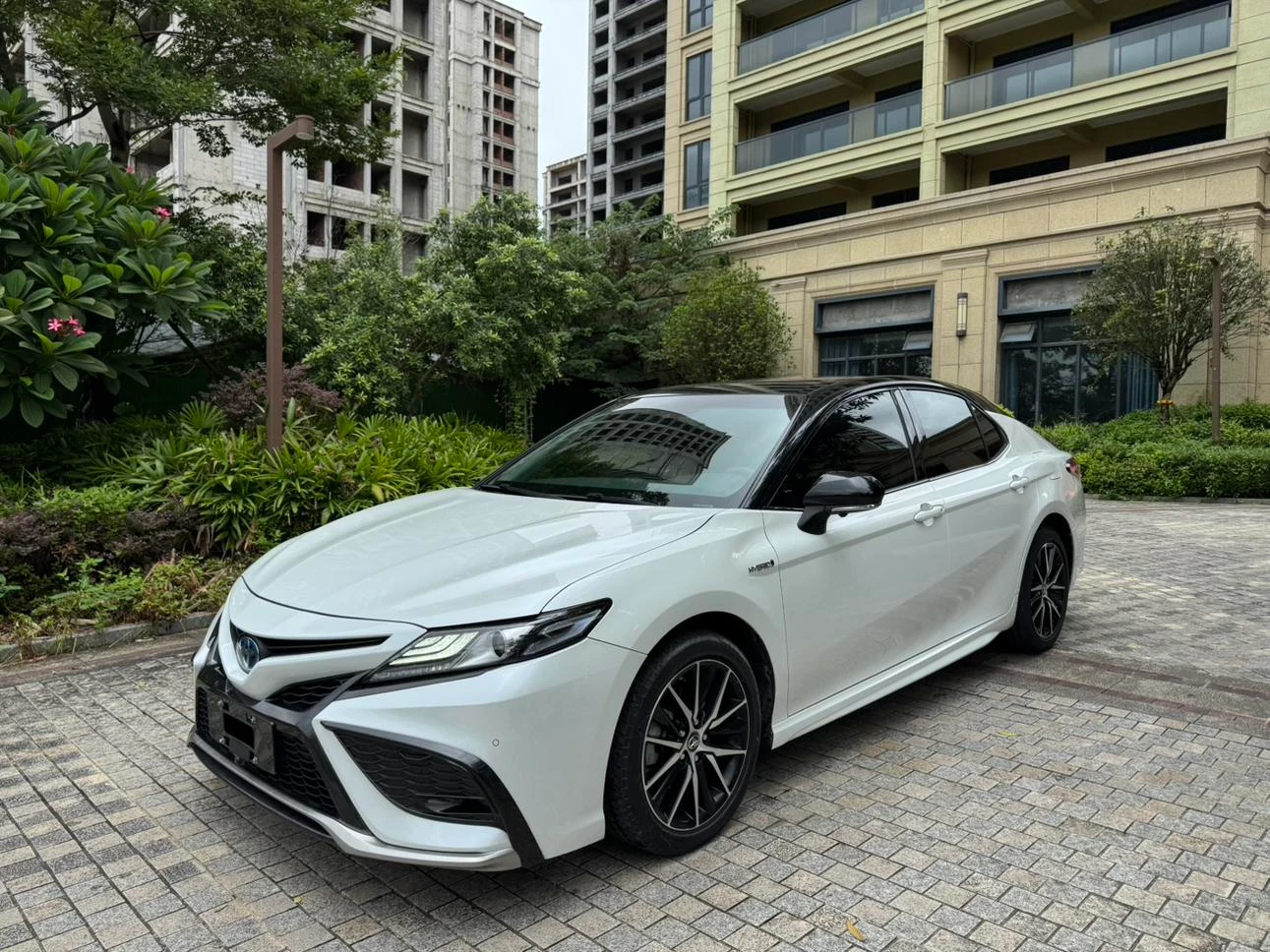 Toyota Camry Hybrid 2.5L HEV (Sport / Fengshang Trim)