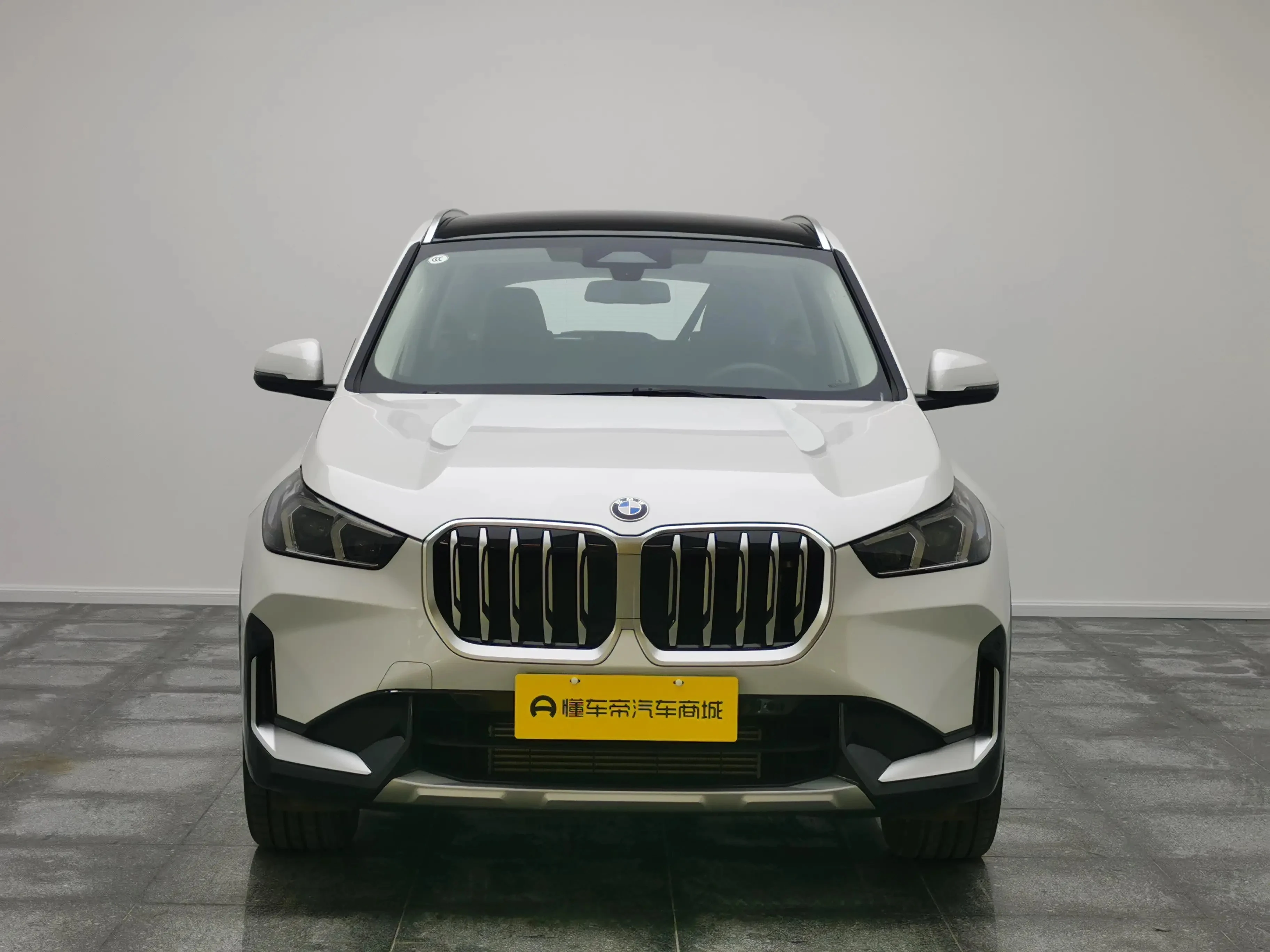 BMW X1 xLine 25Li - exterior