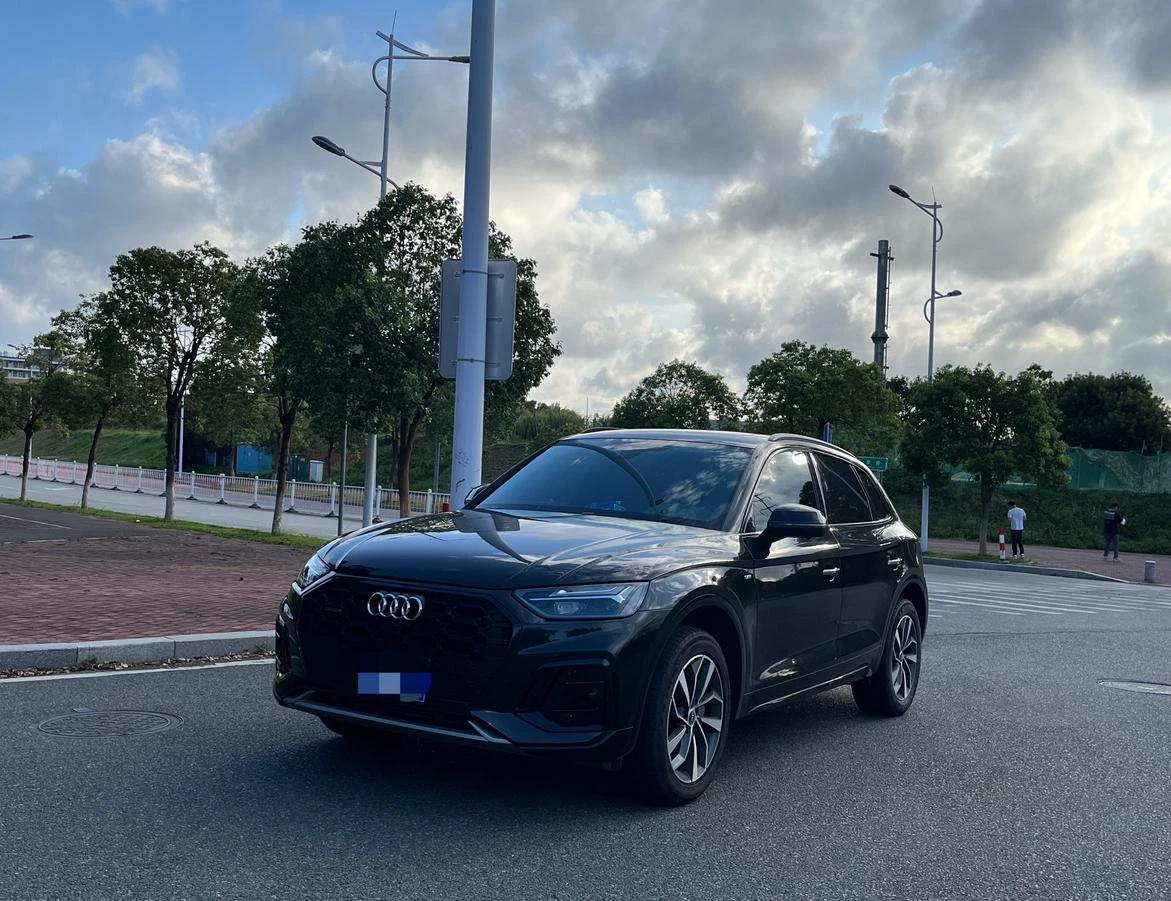 Audi Q5L  40T Luxury Dynamic Trim