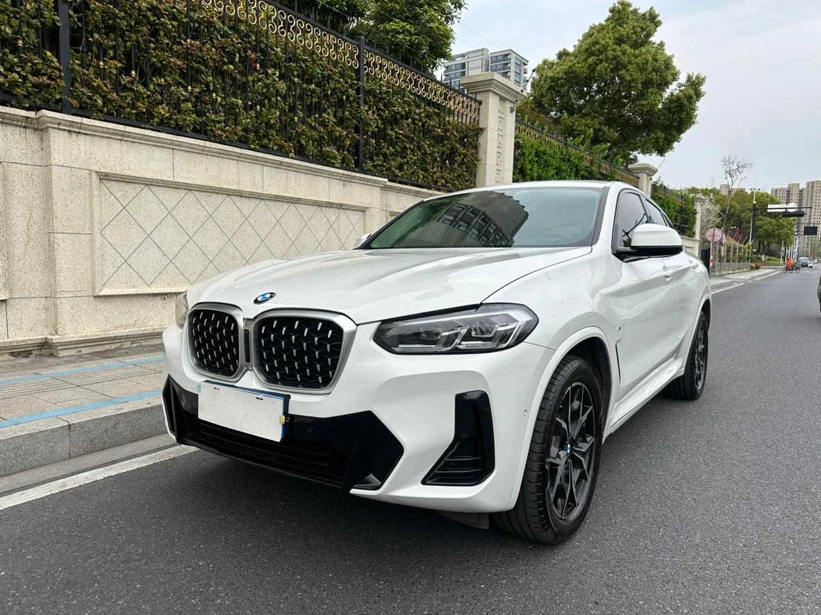 BMW X4 xDrive 25i M Sport Package