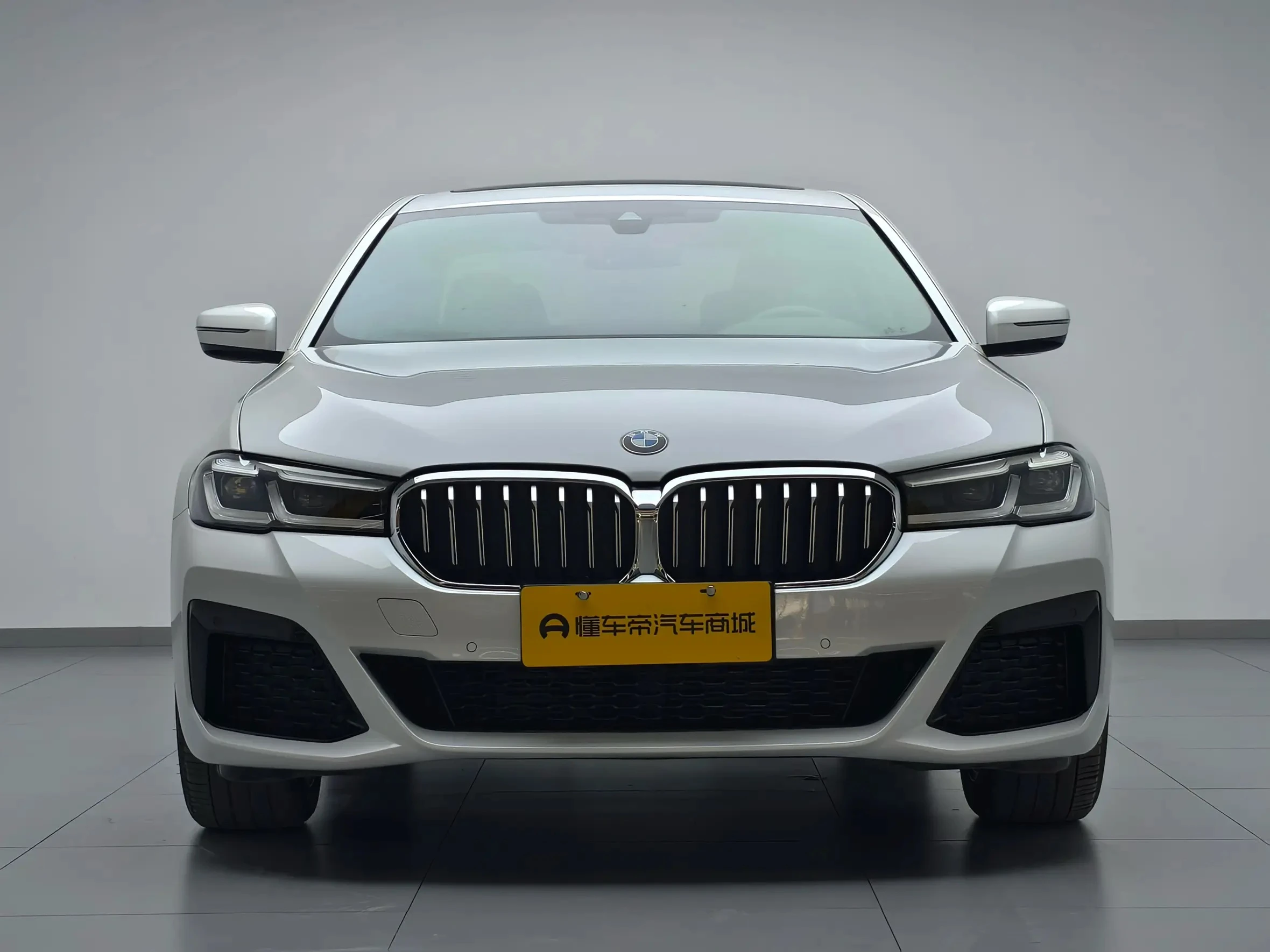 BMW 5 Series 525Li Luxury - exterior