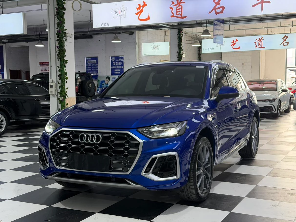 Audi Q5L 40T Luxury Dynamic Trim