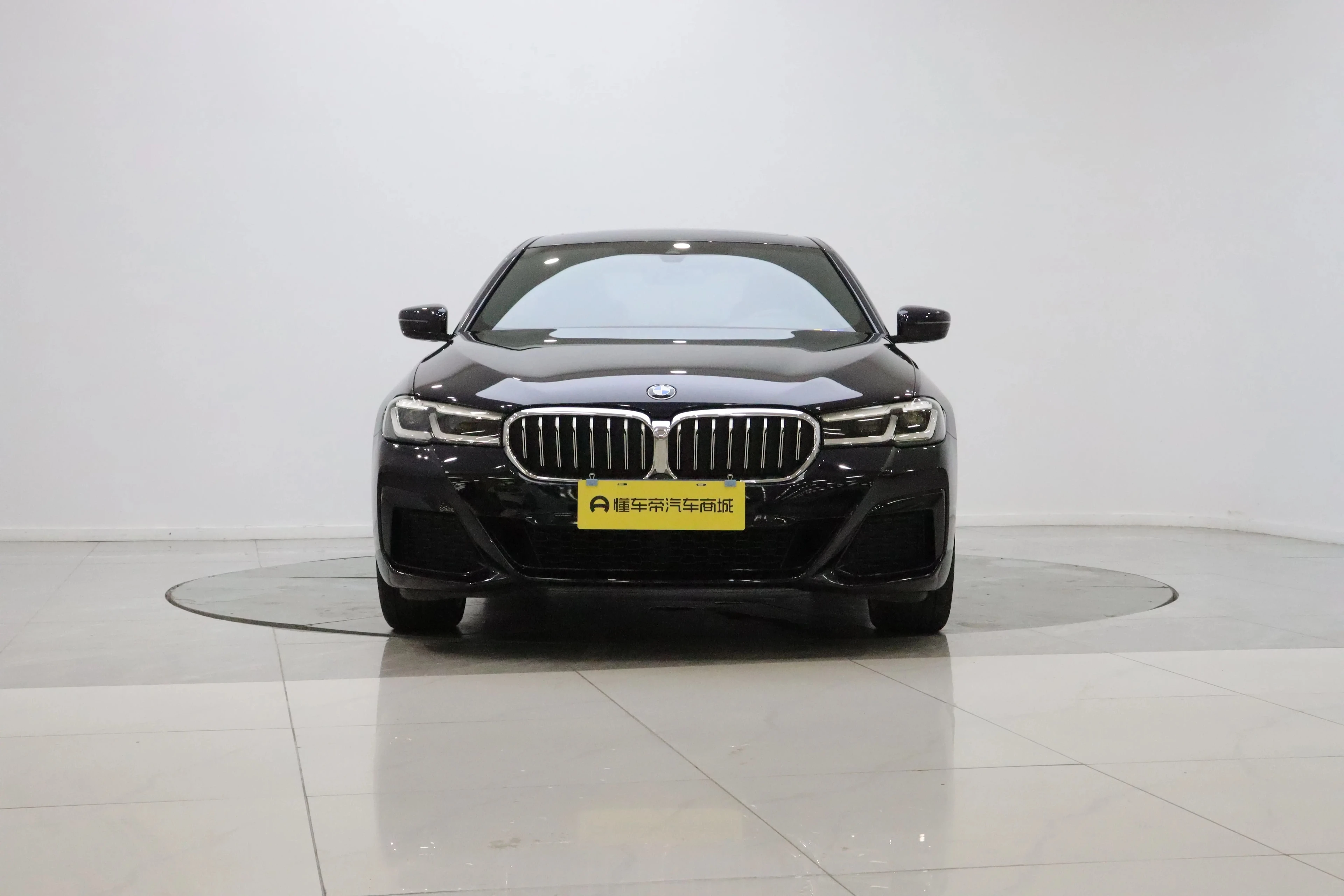 BMW 5 Series 530Li Leading - exterior