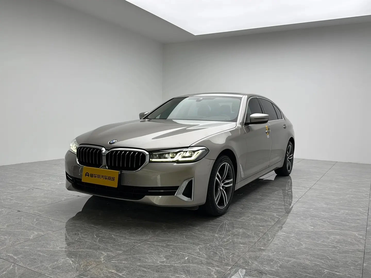 BMW 5 Series 530Li Leading Edition