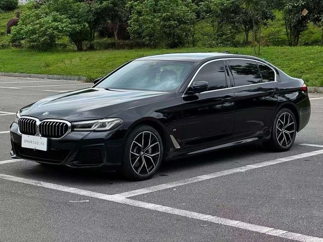 BMW 5 Series 530Li Luxury