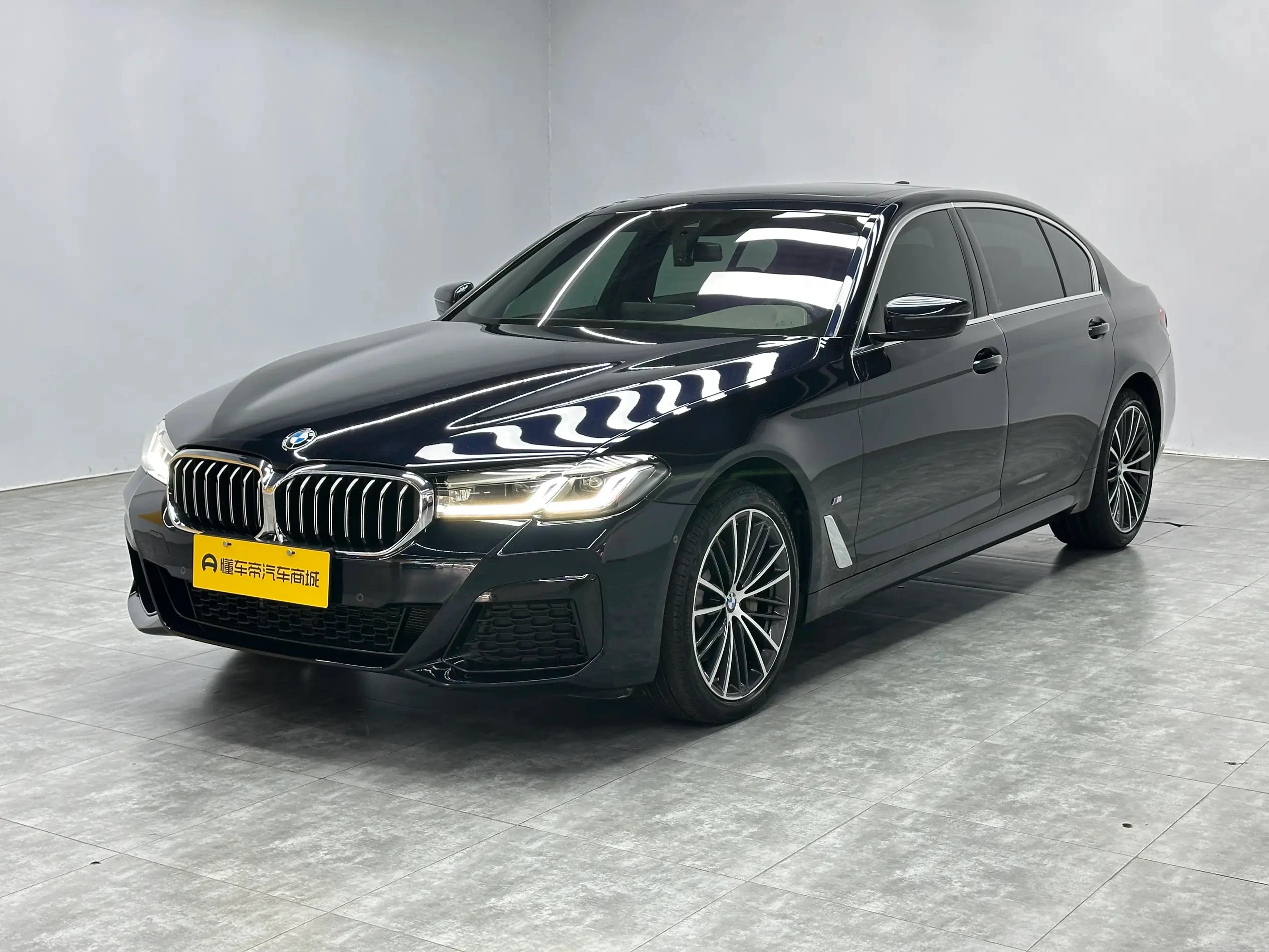 BMW 5 Series 530Li Leading