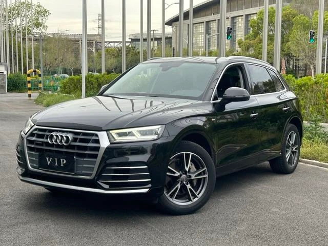 Audi Q5L 40T Fashion Trim