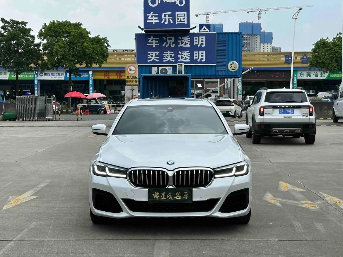 BMW 5 Series 525Li M Sport - exterior