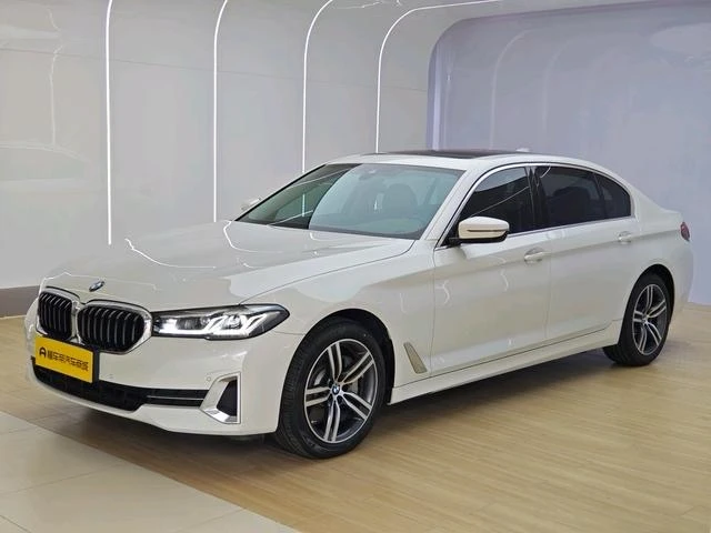 BMW 5 Series 530Li Leading