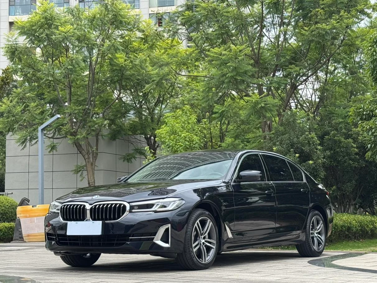 BMW 5 Series 530Li Leading Luxury Package