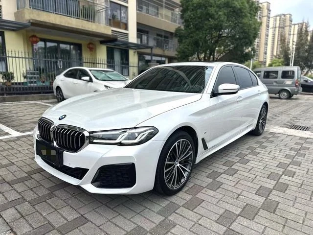 BMW 5 Series 530Li Leading Edition