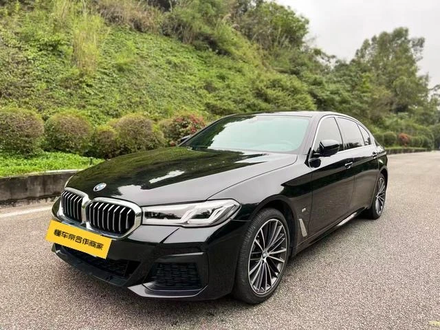 BMW 5 Series 530Li Leading Edition