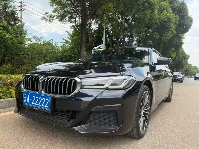 BMW 5 Series 530Li Leading