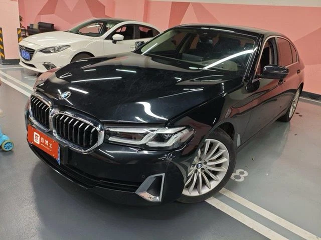 BMW 5 Series 530Li Leading Edition