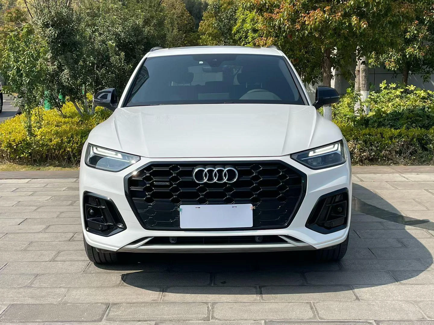 Audi Q5L 40 TFSI (Luxury Dynamic Trim) - exterior