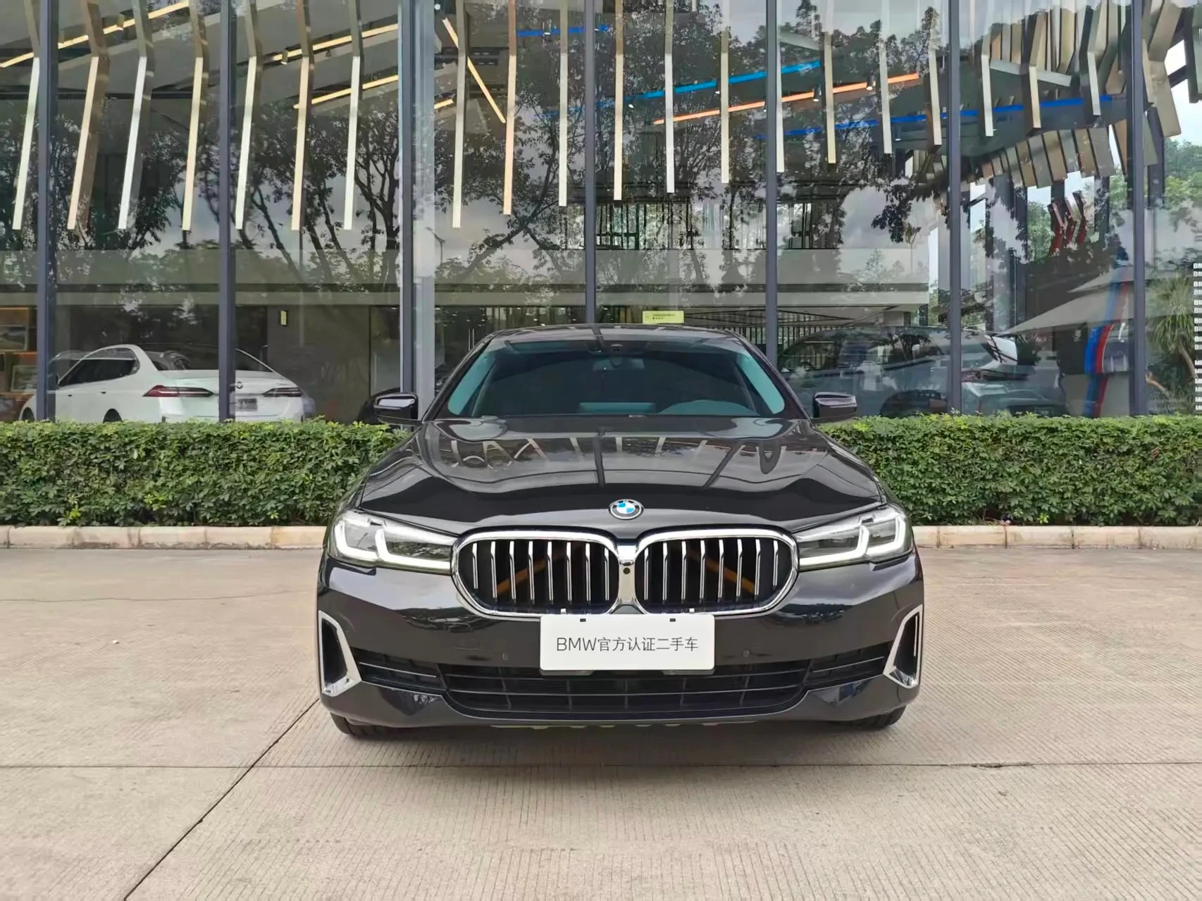 BMW 5 Series 530Li Leading - exterior