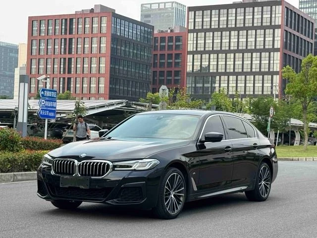 BMW 5 Series 530Li Leading Edition