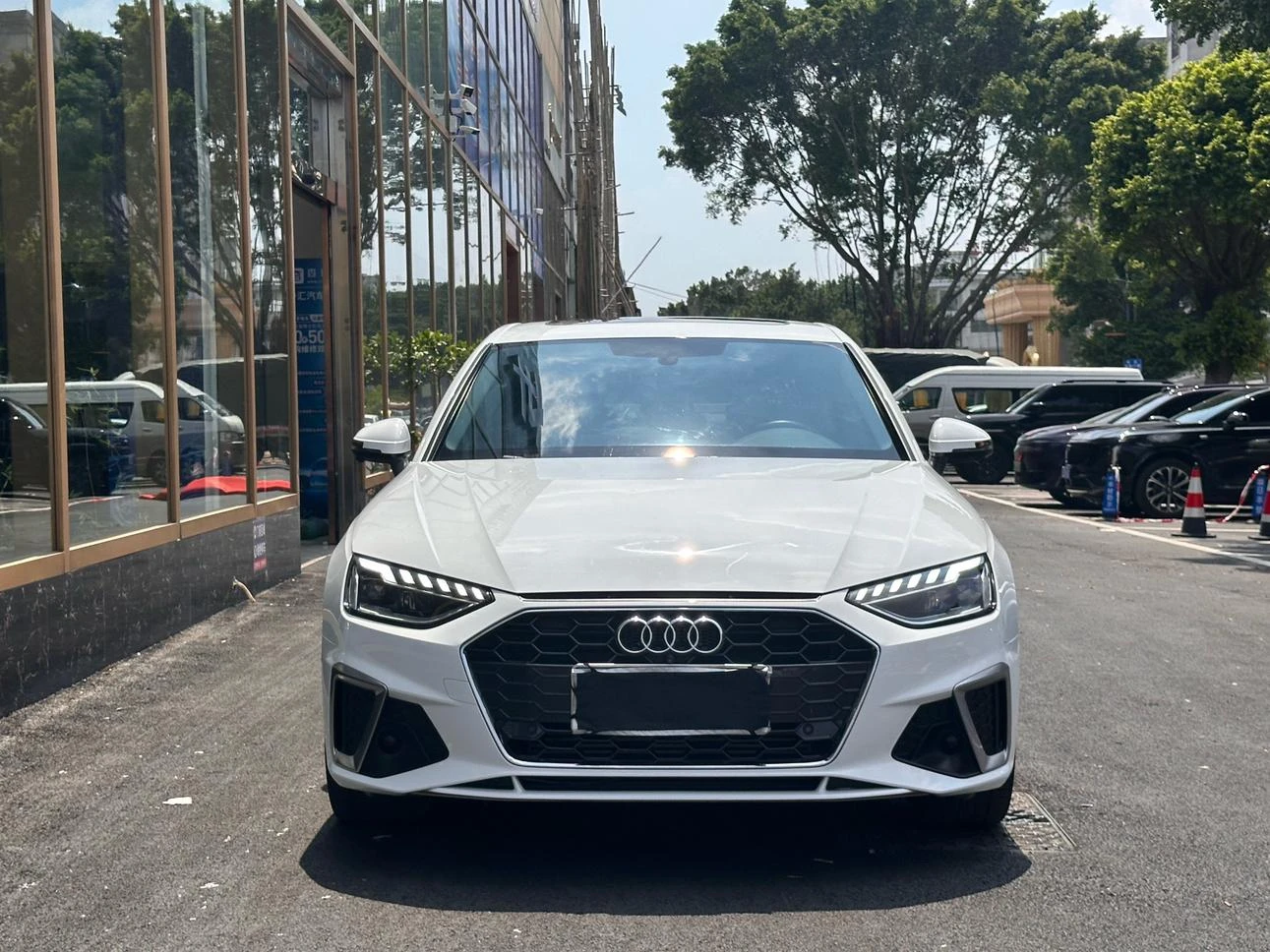 Audi A4L 40 TFSI Luxury Sport - exterior