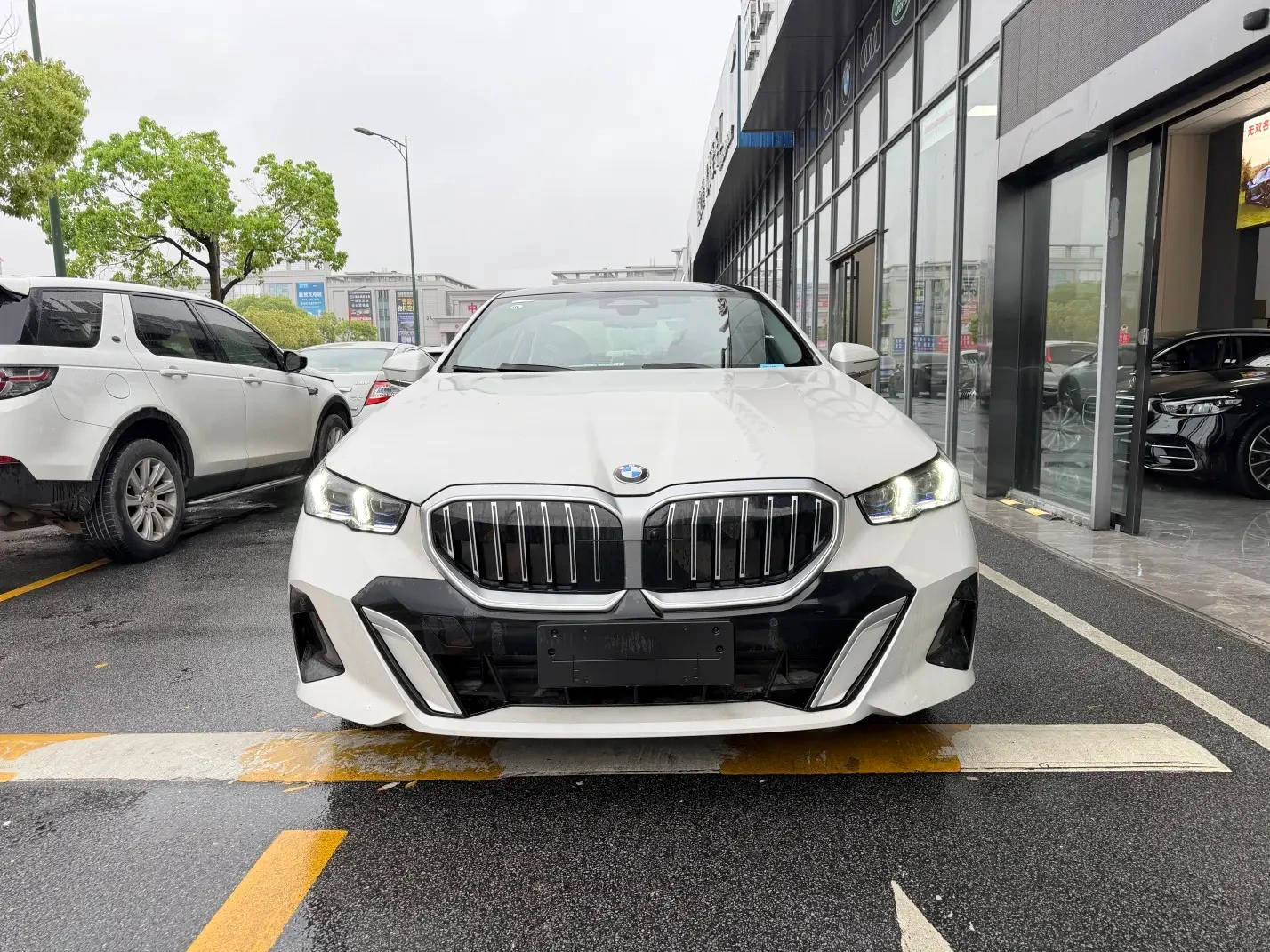 BMW 5 Series 530Li Luxury - exterior