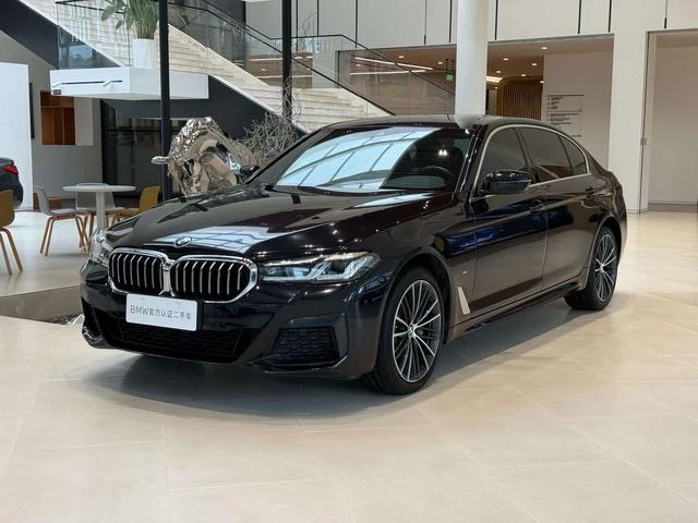 BMW 5 Series 530Li Leading