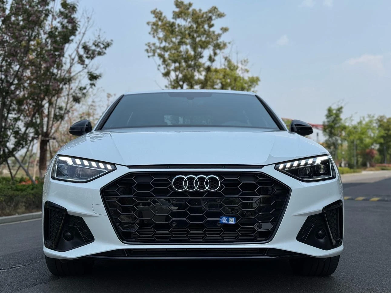 Audi A4L 40 TFSI Luxury Dynamic Trim - exterior