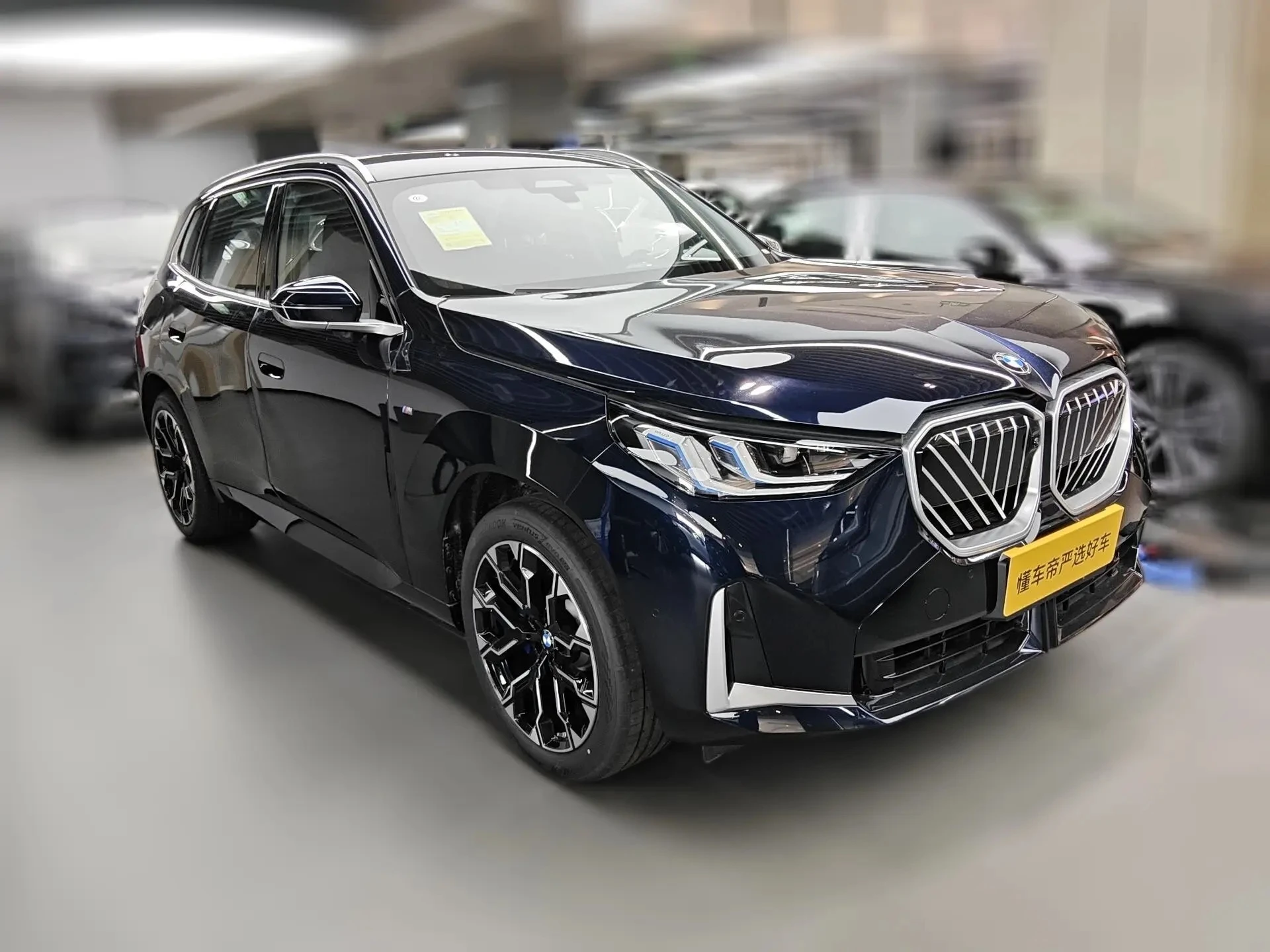 BMW X3 30L Luxury - exterior