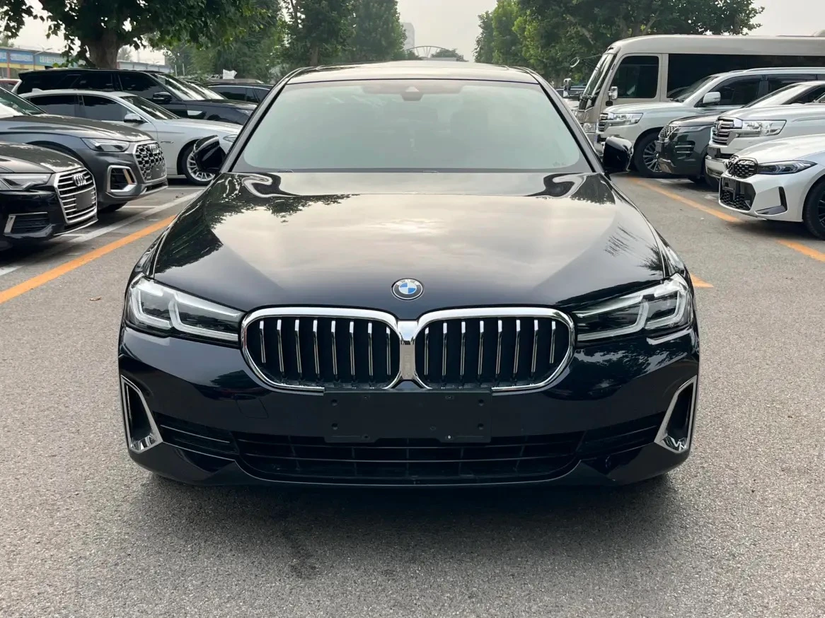 BMW 5 Series 530Li Leading - exterior