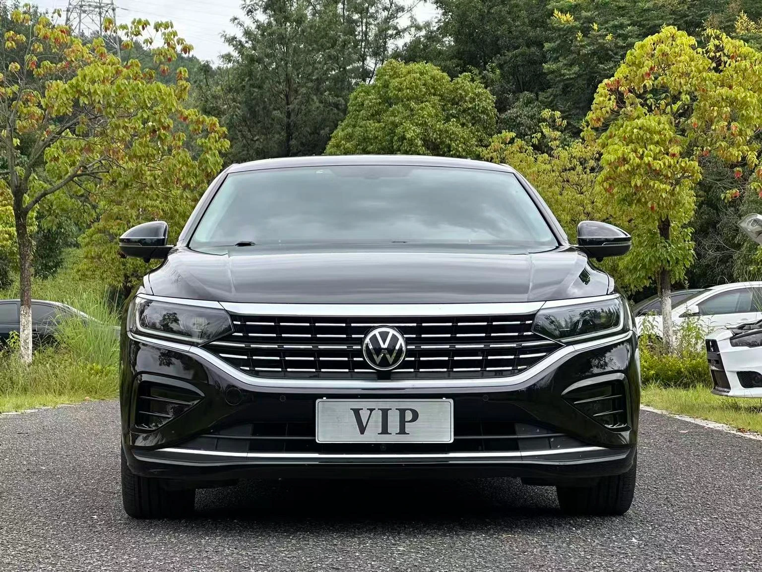 Volkswagen Passat 330TSI Elite Edition - exterior
