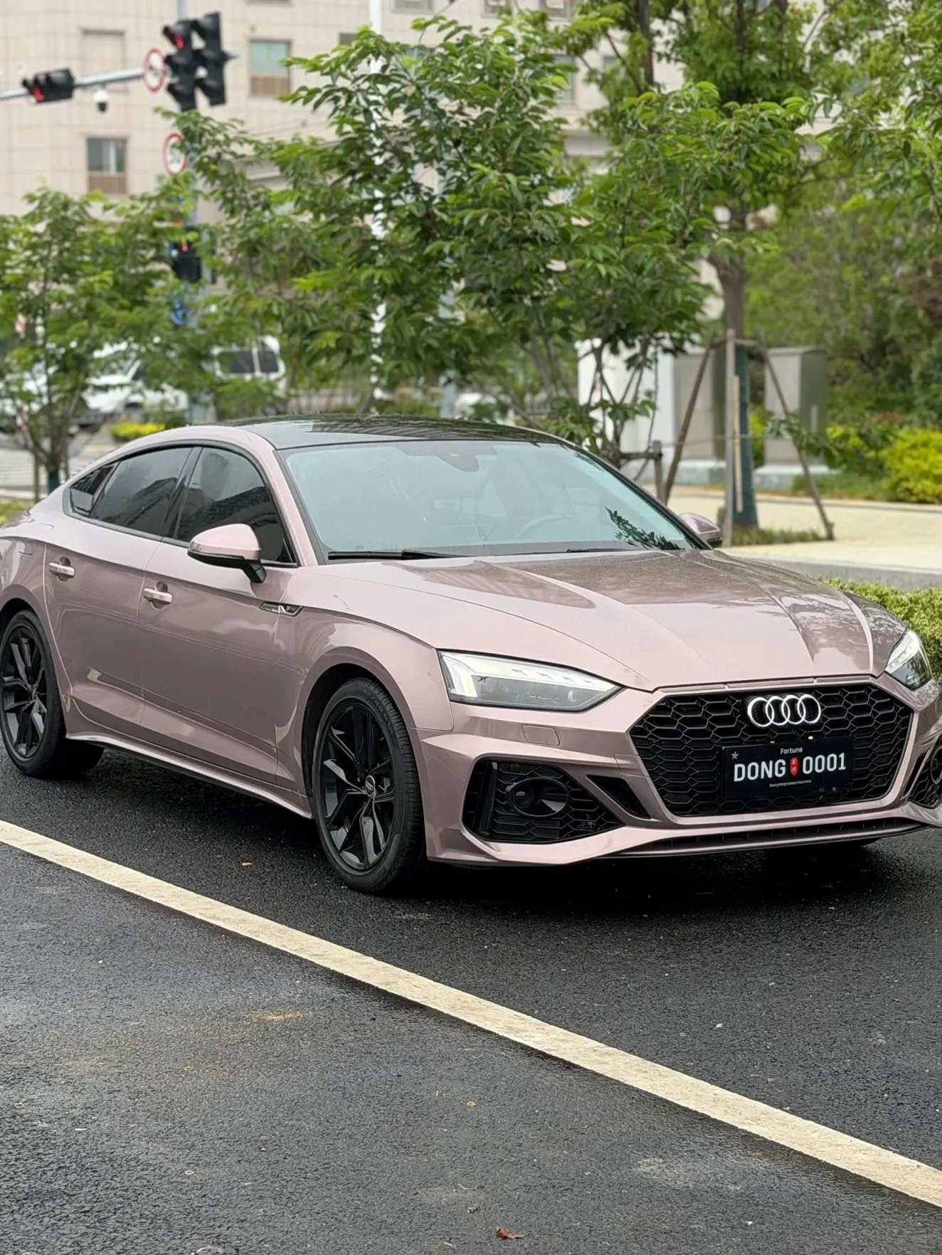 Audi A5 40 TFSI Fashion Elegant Trim - exterior