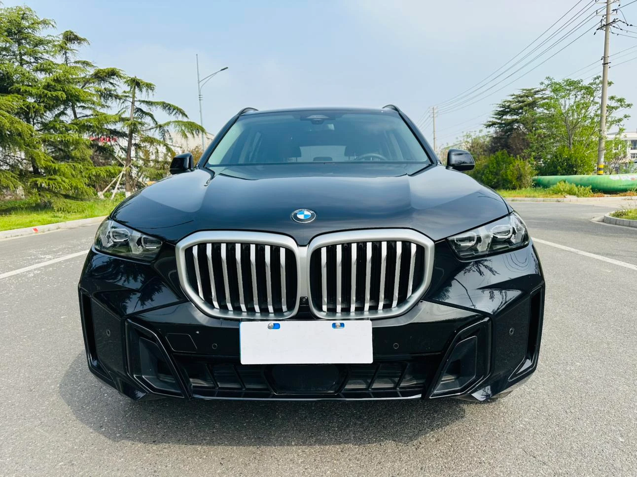 BMW X5 xDrive30Li Luxury M Sport Night Package - exterior