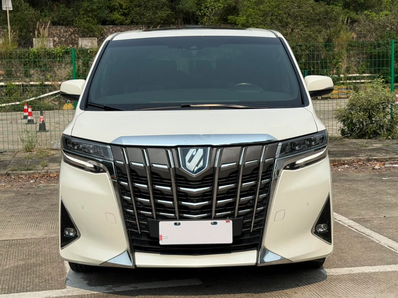 Toyota Alphard 2.5L Hybrid E-CVT 4WD - exterior