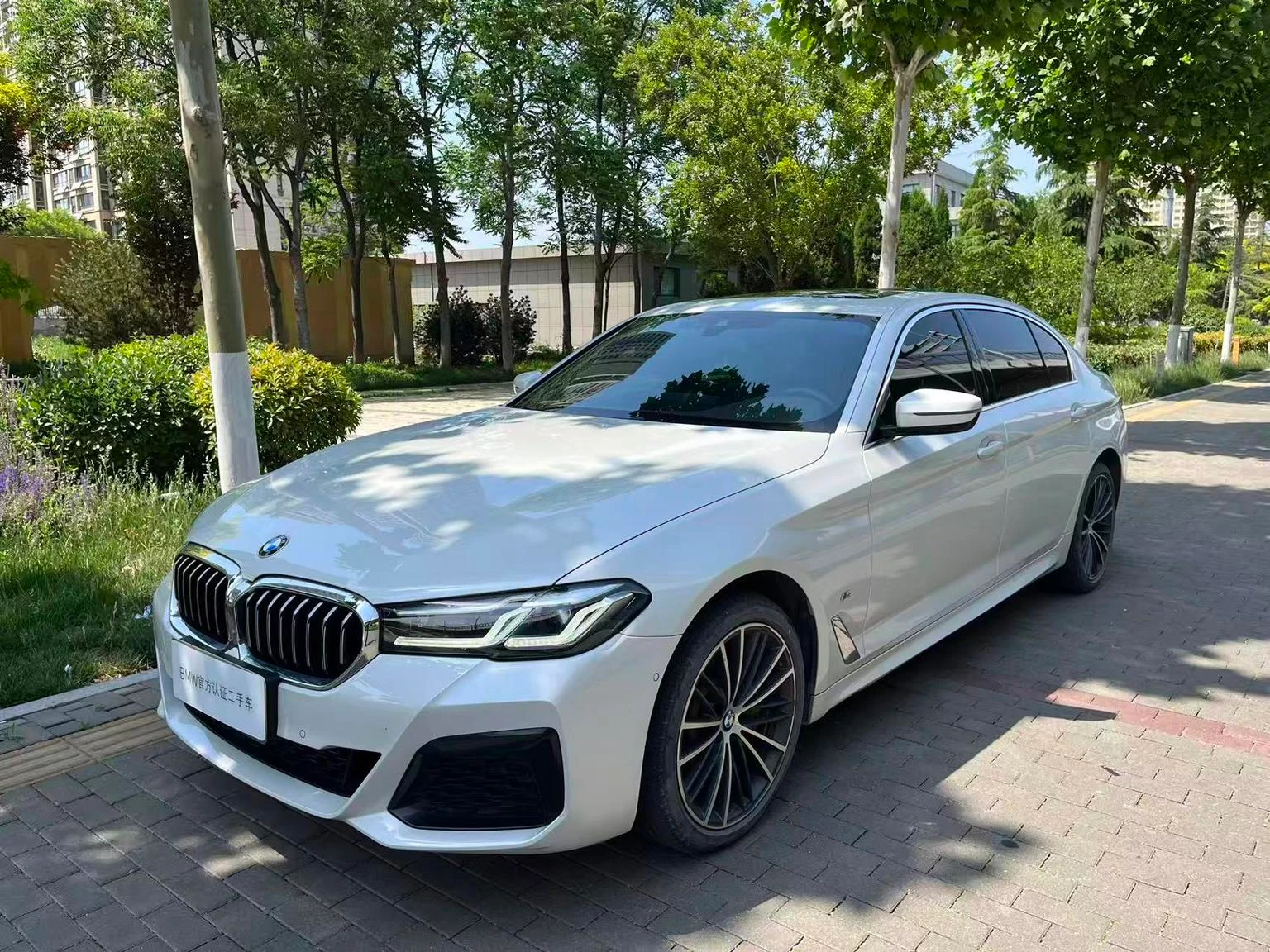 BMW 5 Series 530Li Leading M Sport Package - exterior
