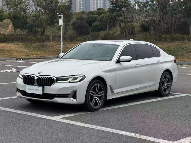 BMW 5 Series 530Li Leading