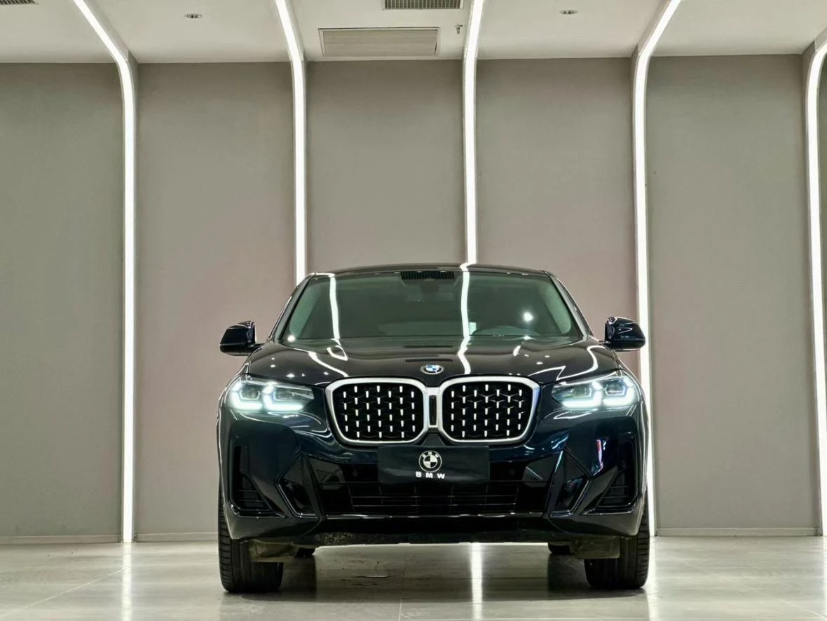 BMW X4 xDrive 25i M Sport Package - exterior