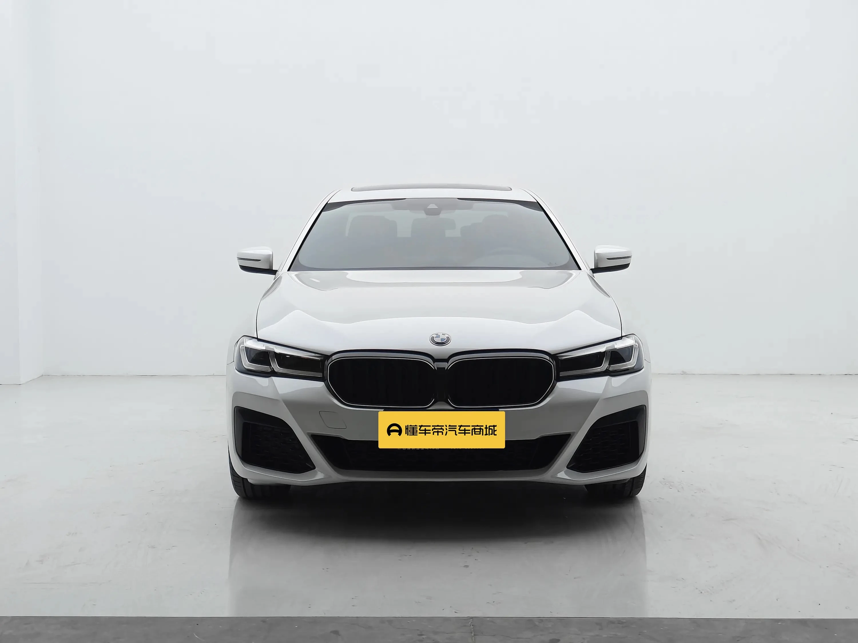 BMW 5 Series 530Li Leading - exterior