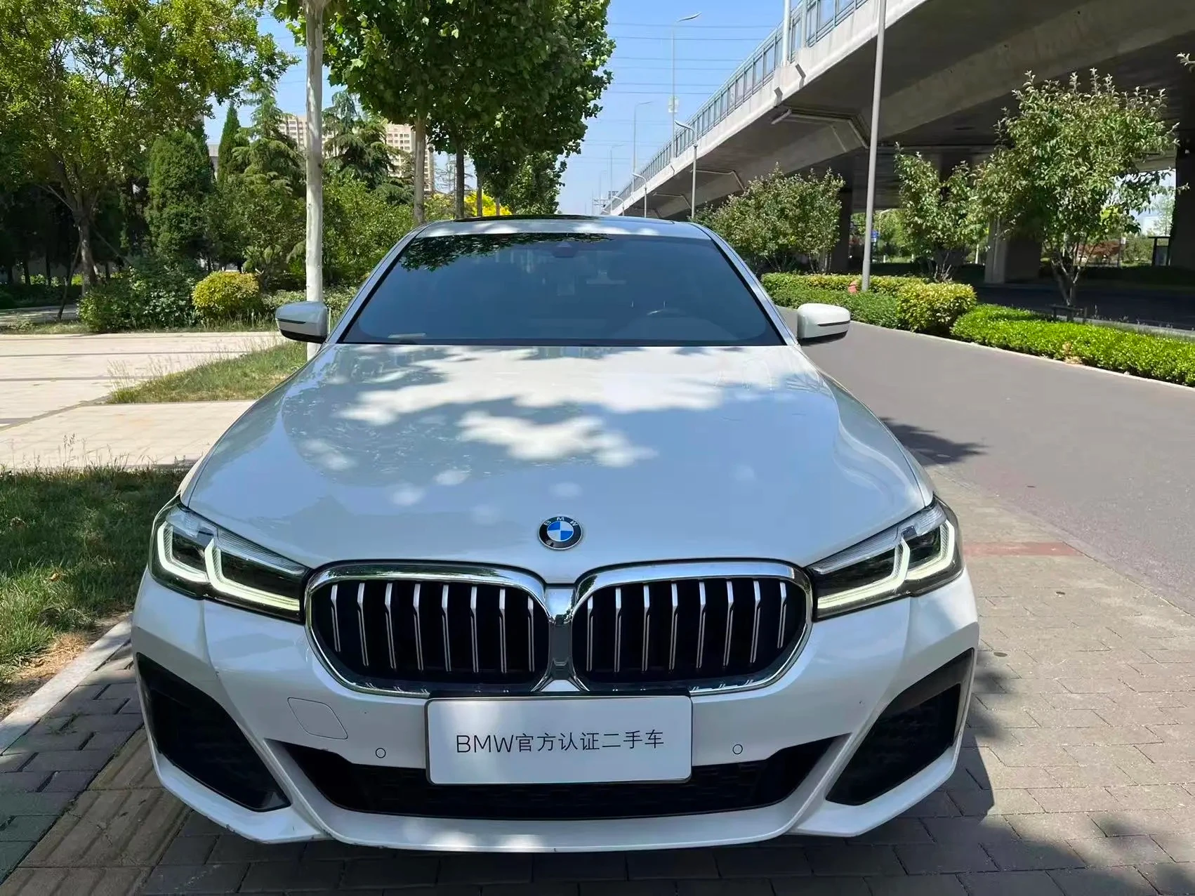 BMW 5 Series 530Li Leading - exterior