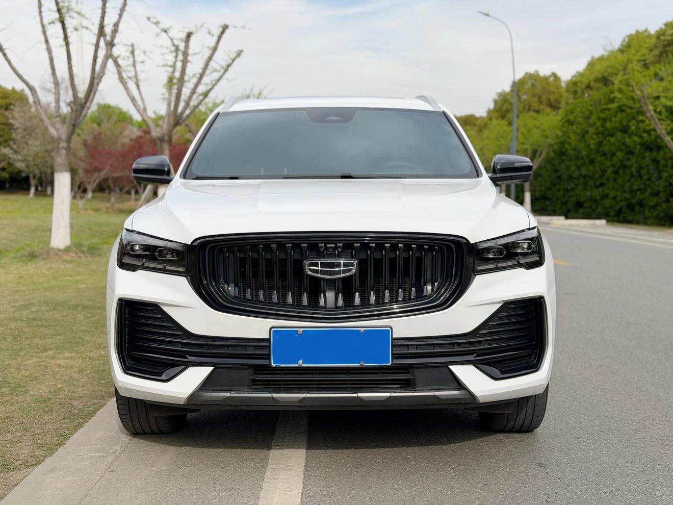 Geely Xingyue L 2.0TD High-Output Automatic 2WD Sky Edition - exterior