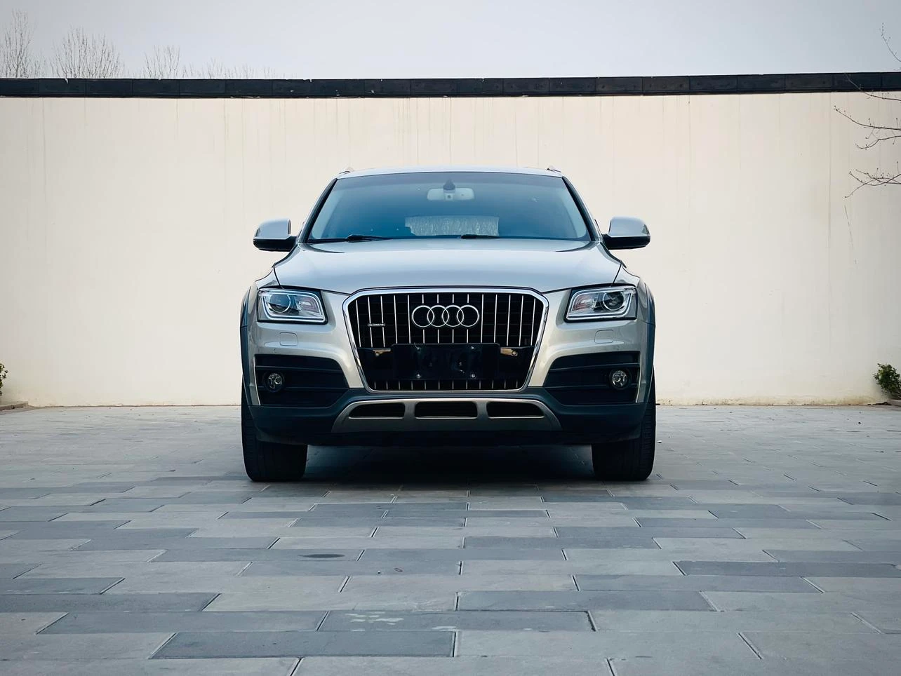 Audi Q5 2017 40 TFSI Plus Quattro - exterior