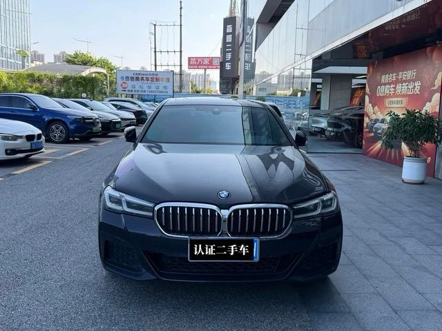 BMW 5 Series 530Li Luxury - exterior