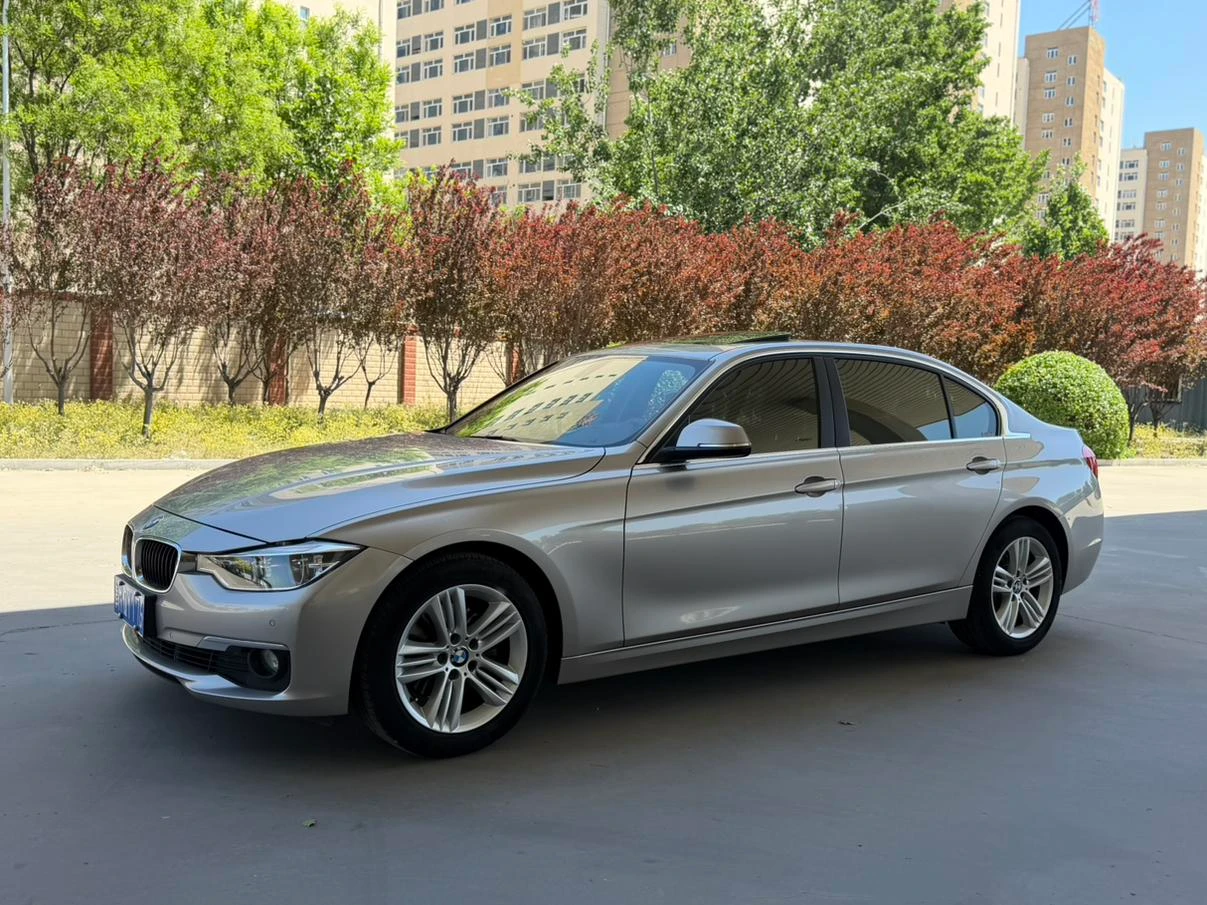 BMW 3 Series 320Li
