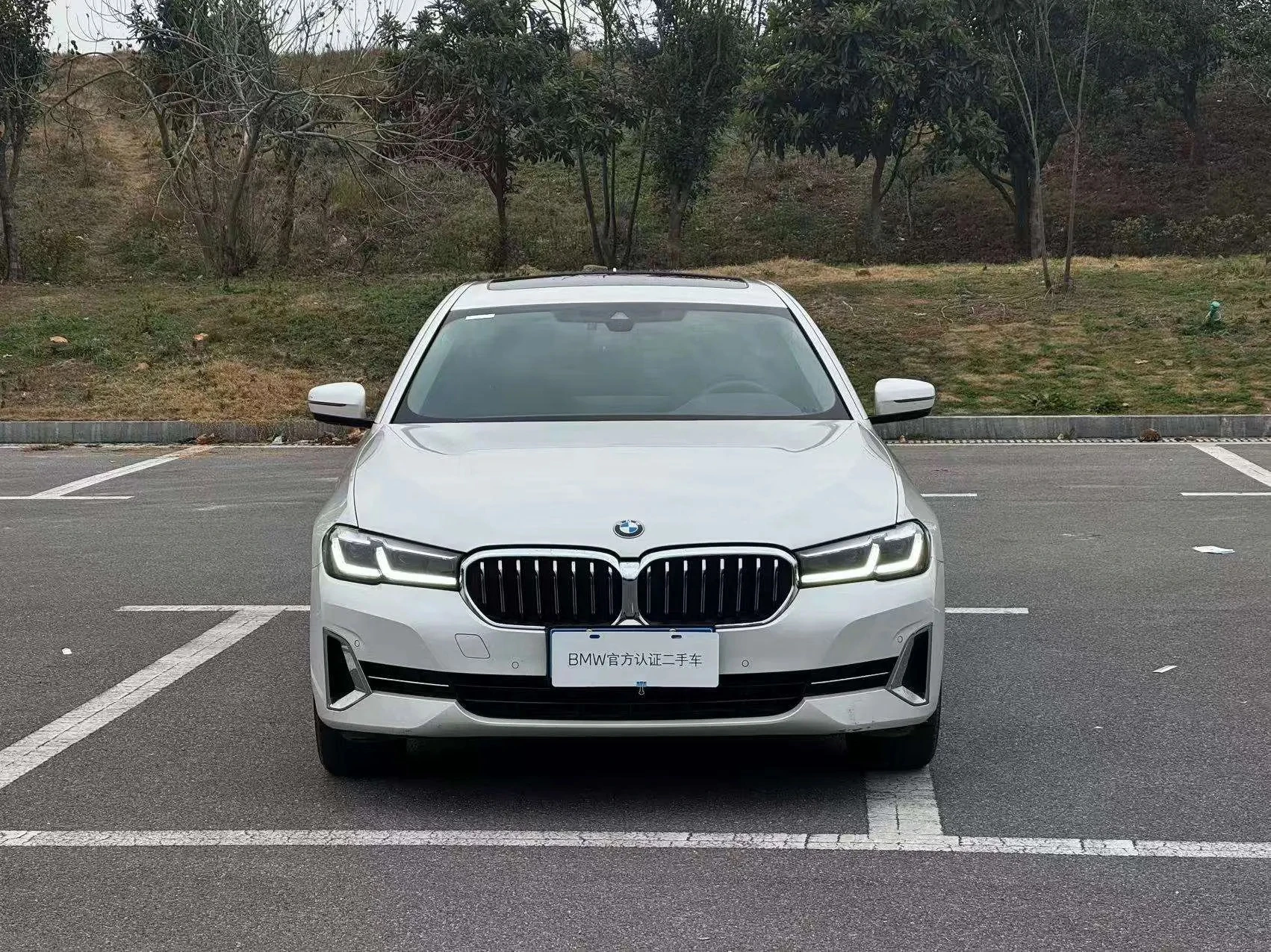 BMW 5 Series 530Li Leading - exterior