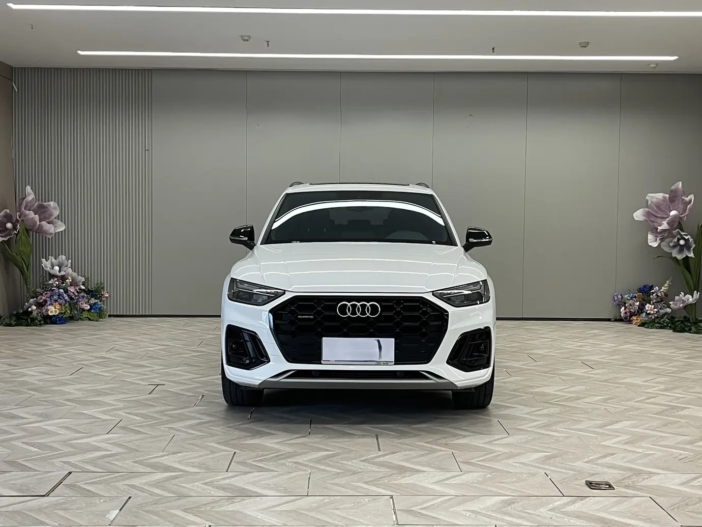 Audi Q5L 40TFSI Luxury Dynamic Model - exterior