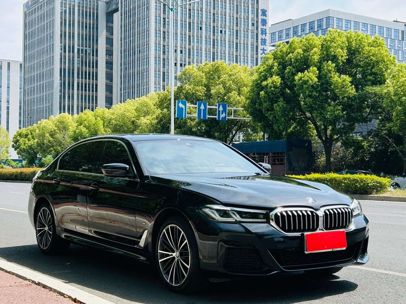 BMW 5 Series 530Li Leading Edition - exterior