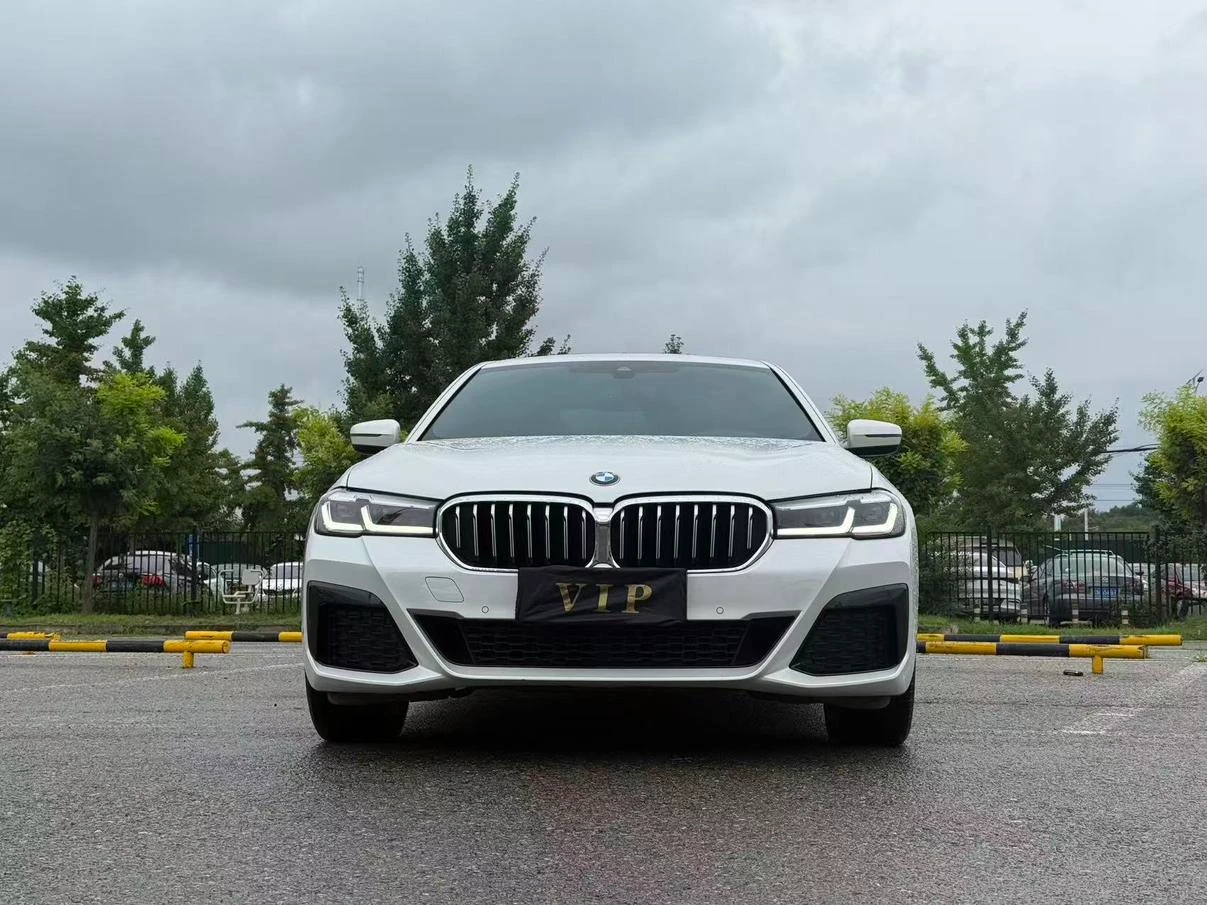 BMW 5 Series 530Li Leading M Sport Package - exterior